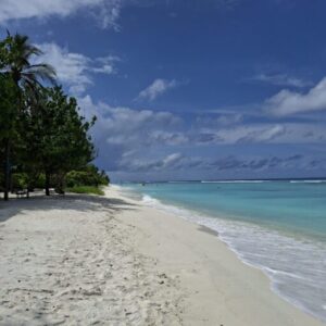 Read more about the article Rome: A Walk Through History