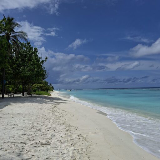 Rome: A Walk Through History