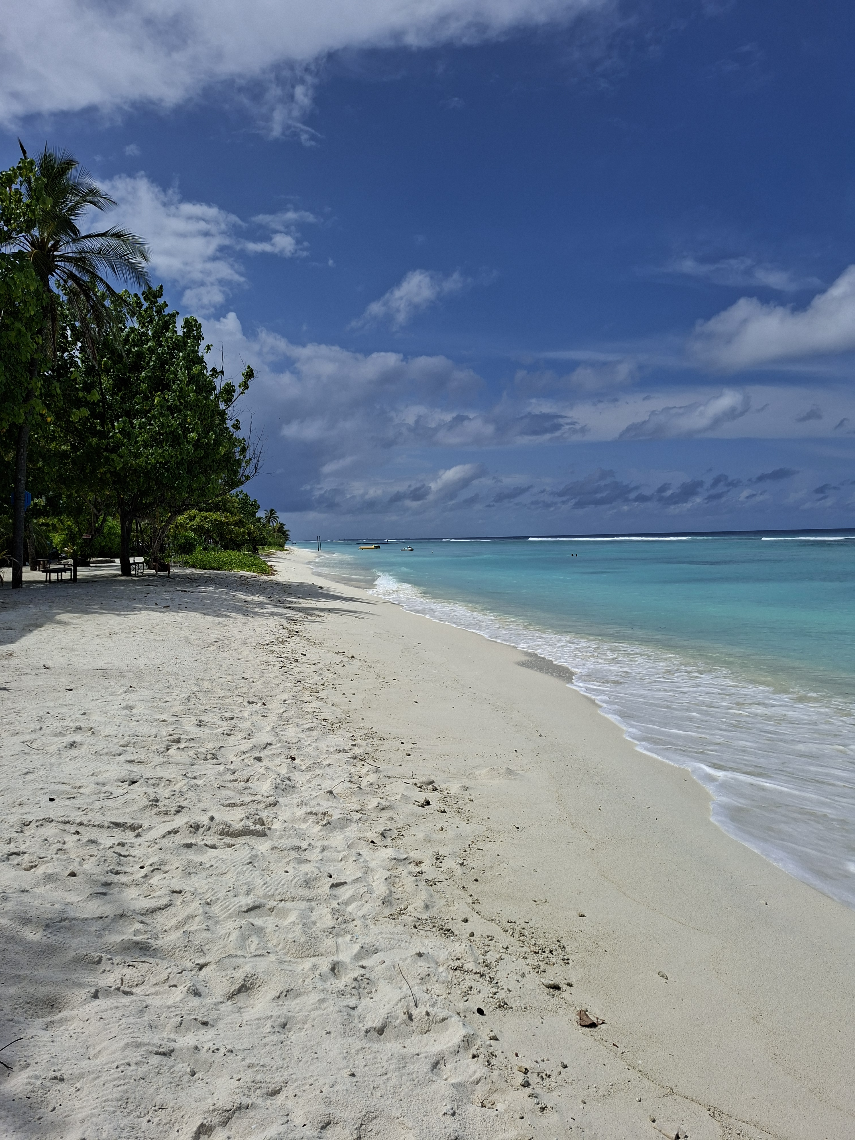 Bali Uncovered: A Journey Beyond the Beaches